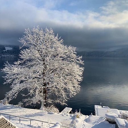 Seehaus Weiss Rothenthurn Exteriör bild